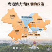 大湾区9城交出楼市年中成