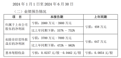 重庆渝开发集团上半年预