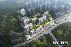 长沙大王山坪塘北片保障