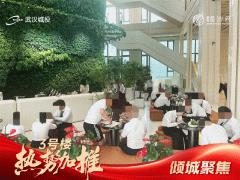 武汉城投金沙府开盘4小时