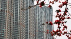 世邦魏理仕：香港房价全