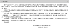 佛山大良德胜河北岸商住