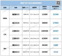 南京新一轮土拍活动将于