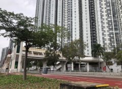 内地客到港租房潮不断 专