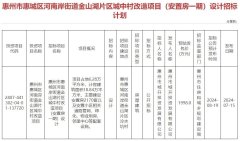 惠州惠城区金山湖城改安