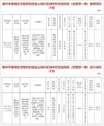 惠州金山湖城中村改造来