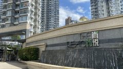 元朗楼连环大平卖！ 尚悦