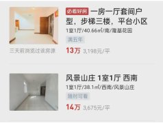 东莞房价骤降 演绎“鹤岗