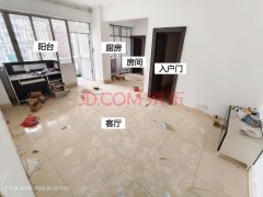 深圳法拍小产权房遭疯抢