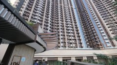 日出康城LP6首8个月录62宗