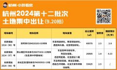 杭州2024年第十二批土拍挂