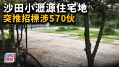 沙田小沥源住宅地 突推招