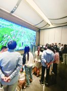 深圳房地产市场新机遇：