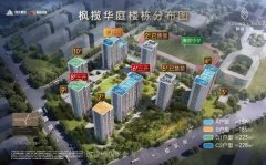 未科滨江改善大宅 外立面