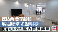 荔枝角美孚新邨 广阔厅堂
