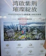 前海新楼盘上市：深圳置