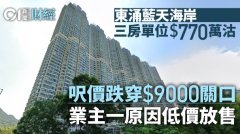 东涌蓝天海岸三房770万沽