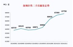 二手房市场动态与政策解