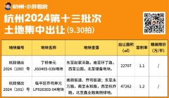 英冠地铁口低密宅地出规