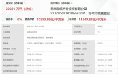 这个别墅盘会有劲爆价？