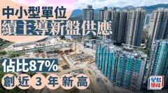中小型单位续主导新盘供