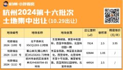 杭州最后一批限价地成功