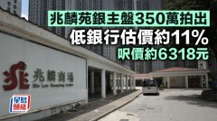 兆麟苑银主盘350万拍出 低