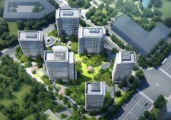 杭州限价宅地新地王：绿