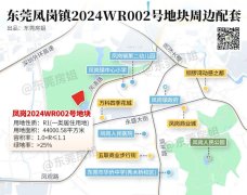 东莞一年仅供应70套别墅！