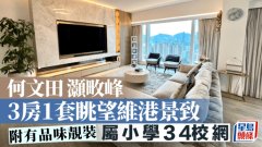 何文田灏畋峰 3房1套眺望