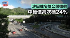 沙田住宅地公开标价 中标