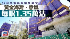 12月多个新盘续见成交 黄