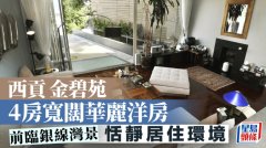 西贡金碧苑 4房宽阔华丽洋