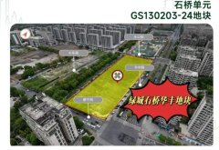 绿城石桥单元地块项目面