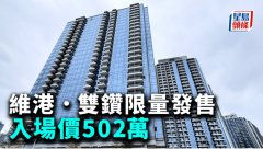 维港. 双钻限量发售入场价
