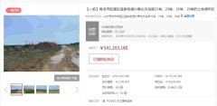 融创集团在青岛土地拍卖