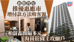 新盘货尾推优惠应市 增加