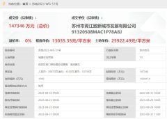 板块唯一纯新盘！成交楼