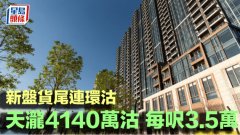 新盘货尾连环沽 天泷414