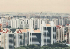 新加坡暗示在第四季度市