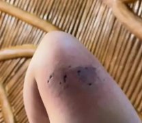 南通森林野生动物园酒店