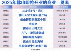 2025年佛山商业新势力：九