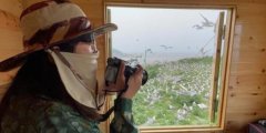 浙江300一天招守鸟人住海