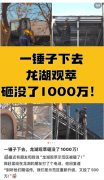 龙湖·观萃示范区“被砸”