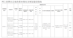 4.47 亿降幅惊人！惠州金龙