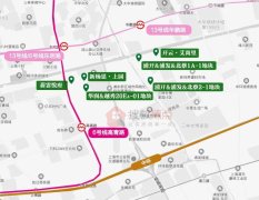 新杨思&北蔡：6 盘扎堆