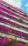 广州现梦幻“花楼”：七