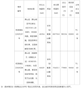 杭州萧山区挂牌两宗住宅