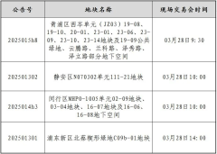 2025年上海第三批次土拍