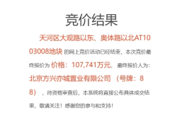 天河、番禺开年首拍吸金